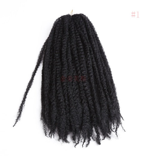 Black braided hair extensions on a white background