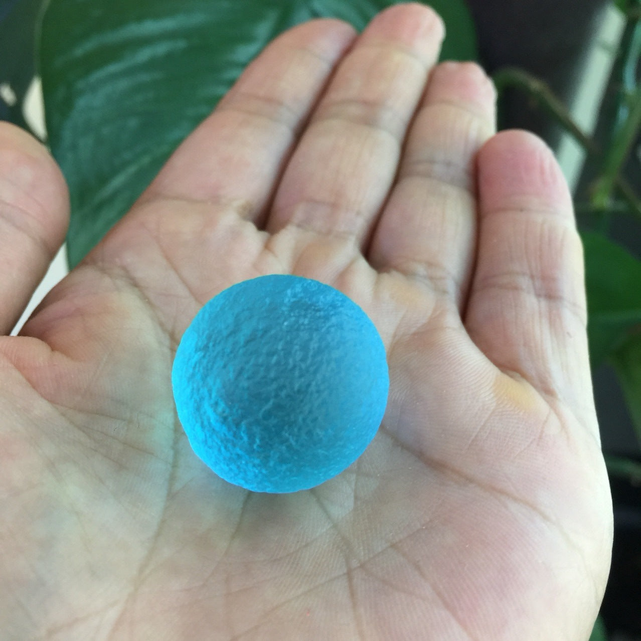 Blue stress ball held in a hand with a blurred green leaf background