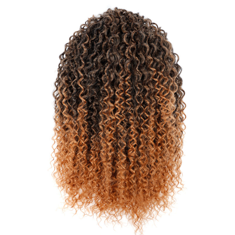 Curly hair wig with gradient color on a white background