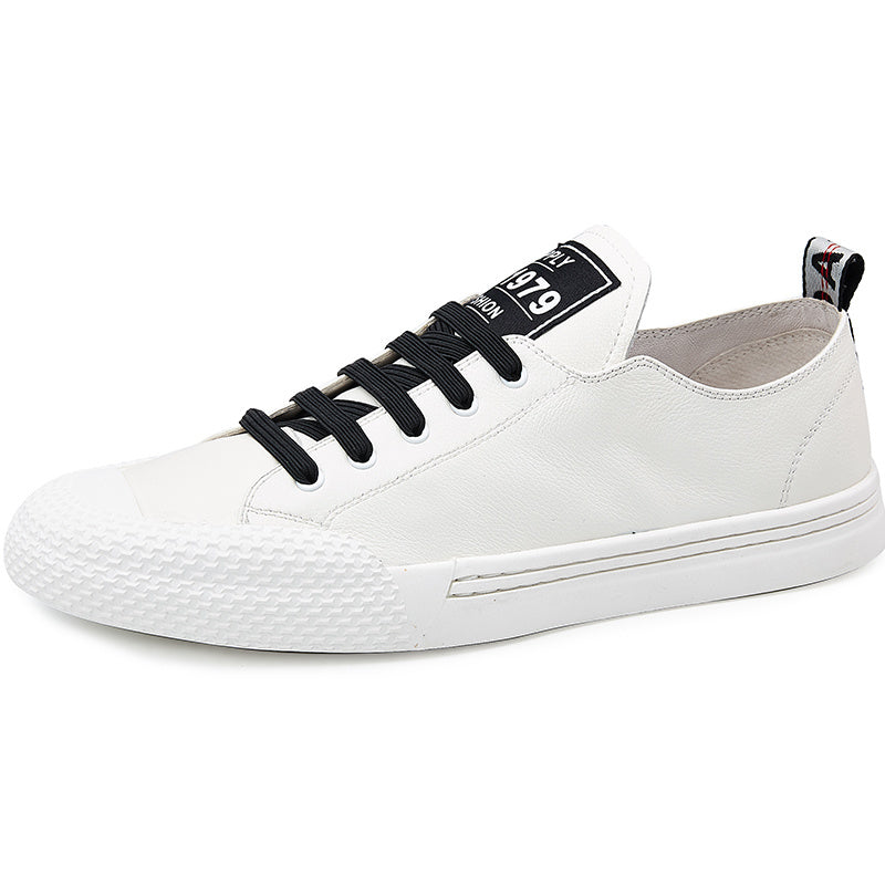 White sneaker with black laces on a white background