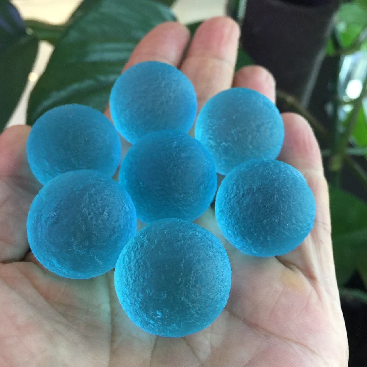 Hand holding several blue spherical objects against a natural background