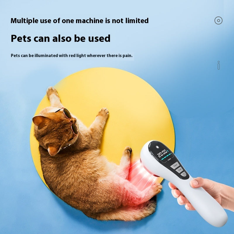 Cat receiving red light therapy from a handheld device on a blue background