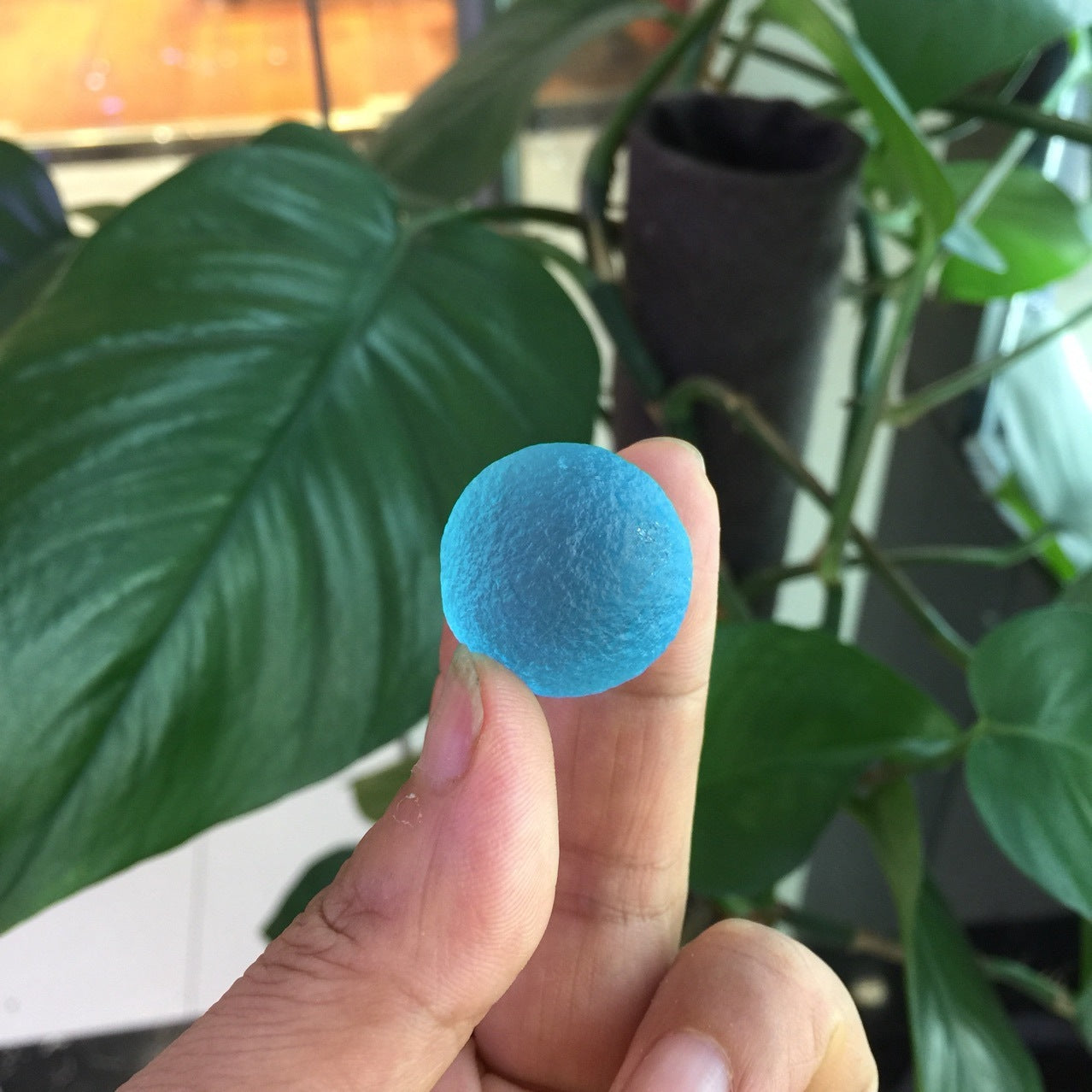 Hand holding a blue ball with green leaves in the background