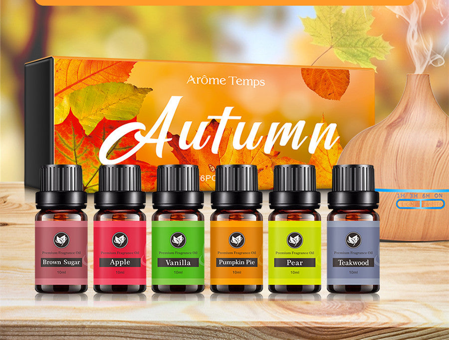 16 Theme Atmosphere Flameless Essential Oil Sets with six autumn scents including Brown Sugar and Pumpkin Pie in 60ml bottles