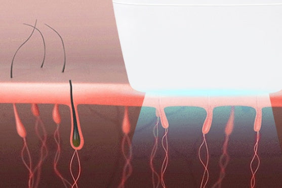 Illustration of a hair follicle with a hair emerging, set against a pink background.