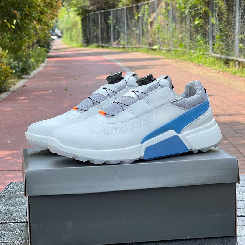 White and blue sneakers on a box with a park-like background